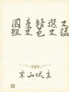 国产精选又黄又粗又色又猛