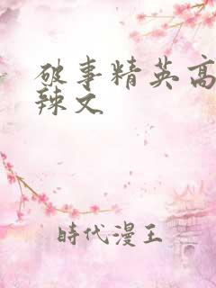 破事精英高h肉辣文