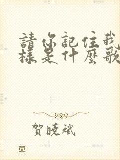 请你记住我的模样是什么歌