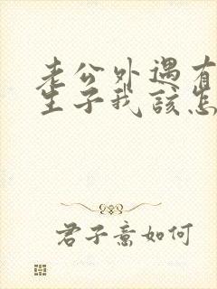 老公外遇有了私生子我该怎么办