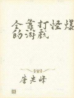 全靠打怪爆装备的游戏