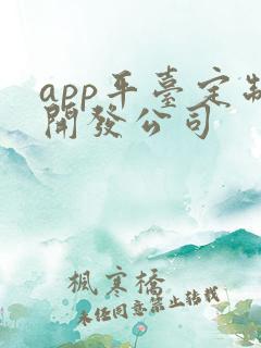 app平台定制开发公司