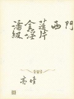 潘金莲西门庆一级淫片