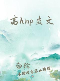 高hnp爽文