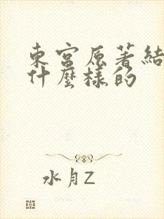 东宫原著结局是什么样的