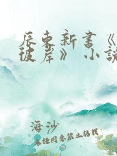 辰东新书《深空彼岸》 小说
