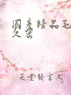 国产精品毛片久久密