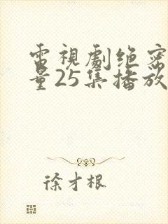 电视剧绝密的较量25集播放