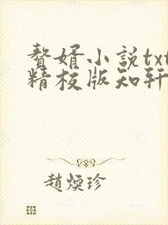 赘婿小说txt精校版知轩