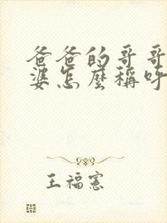 爸爸的哥哥的老婆怎么称呼