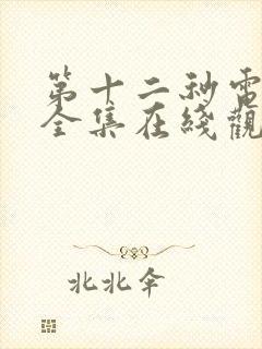 第十二秒电视剧全集在线观看免费