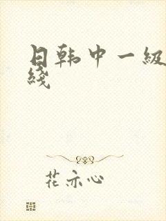 日韩中一级片在线