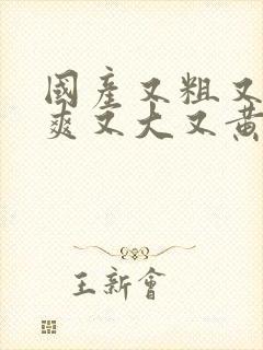 国产又粗又猛又爽又大又黄的视频