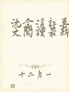 沈念溪许嘉树全文阅读最新章节