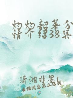 灼灼韶华分集剧情介绍38集