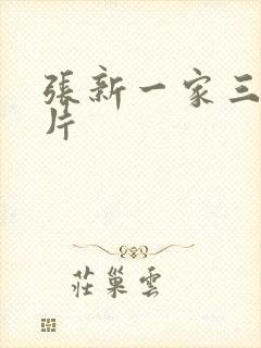 张新一家三口照片