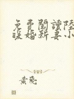 免费阅读陆少的暖婚新妻小说