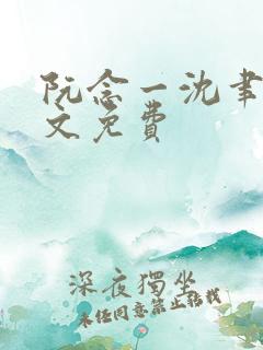 阮念一沈聿怀全文免费