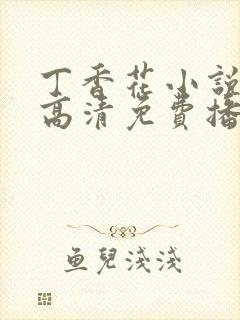 丁香花小说电影高清免费播放在线观