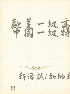 欧美一级高清片中国一级特黄大片