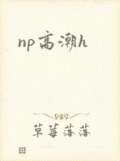 np高潮h