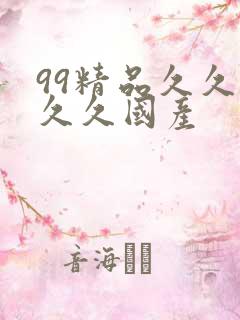 99精品久久久久久国产