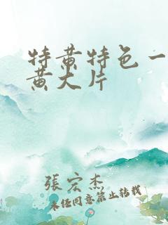 特黄特色一级特黄大片