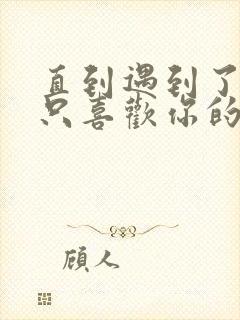 直到遇到了你我只喜欢你的歌词