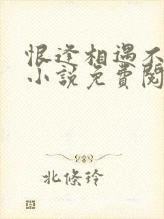 恨逢相遇不爱时小说免费阅读