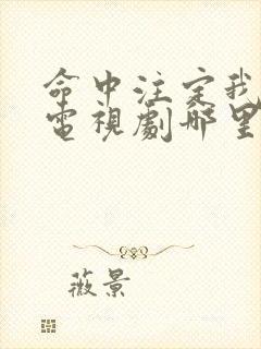 命中注定我爱你电视剧哪里能看