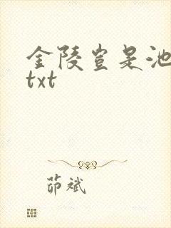 金陵岂是池中物txt