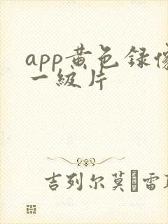 app黄色录像一级片