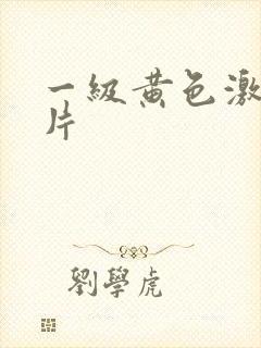 一级黄色激情大片