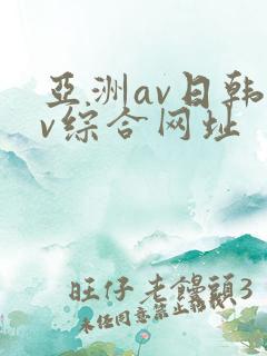 亚洲av日韩av综合网址