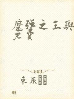 魔弹之王与战姬免费