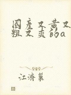 国产又黄又猛又粗又爽的a