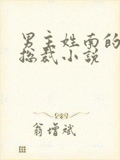 男主姓南的霸道总裁小说