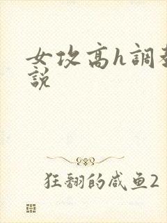 女攻高h调教小说