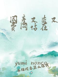 国产又爽又黄免费网站在