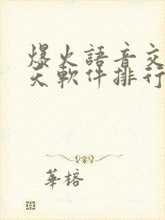 爆火语音交友聊天软件排行