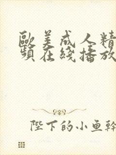 欧美成人精品视频在线播放