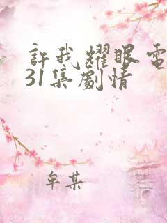 许我耀眼电视剧31集剧情