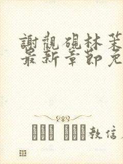 谢观砚林茉小说最新章节免费阅读全文