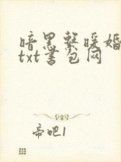 暗黑系暖婚番外txt书包网