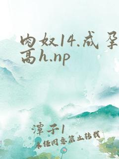 肉奴14.成孕高h.np