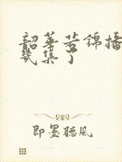 韶华若锦播到第几集了