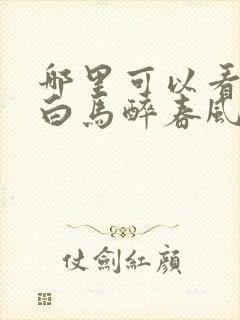 哪里可以看少年白马醉春风