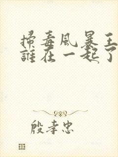 扫毒风暴王奇跟谁在一起了