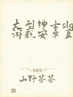 大型绅士slg游戏安卓直装