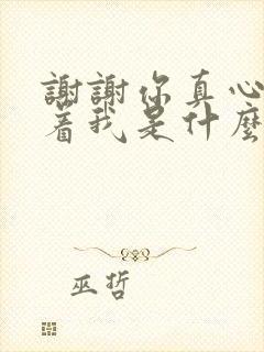 谢谢你真心的陪着我是什么歌